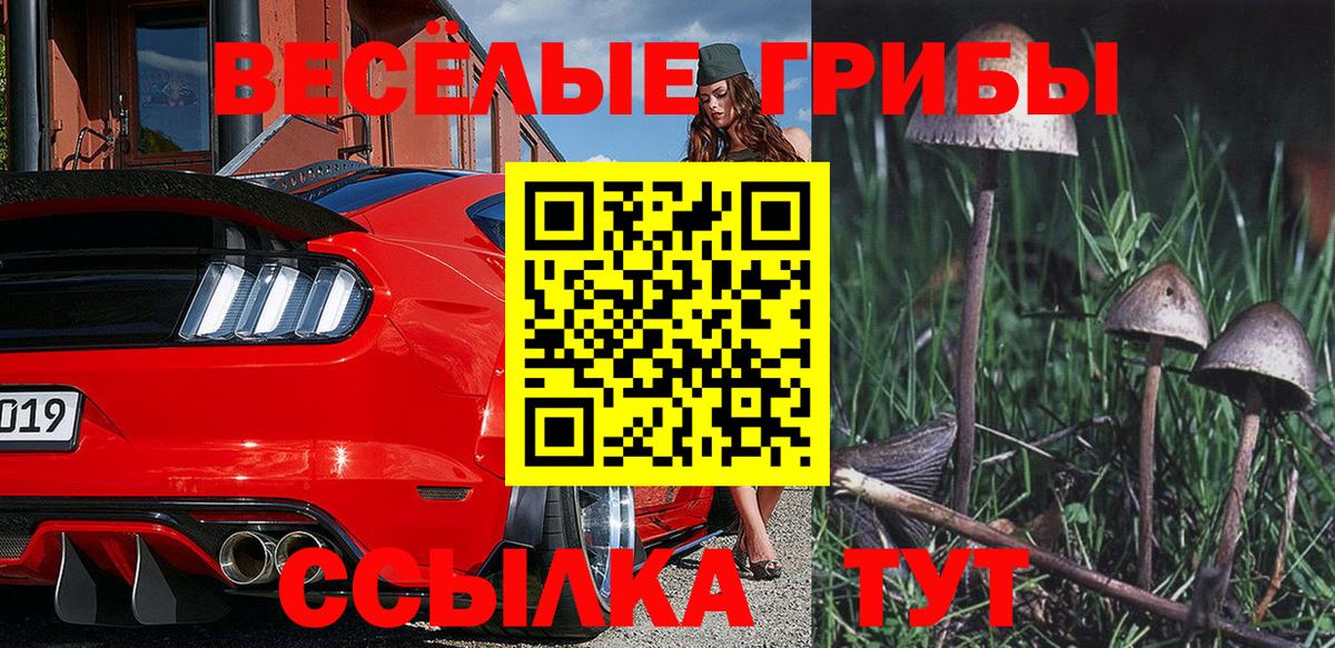 Псилоцибиновые грибы ЛСД Касимов