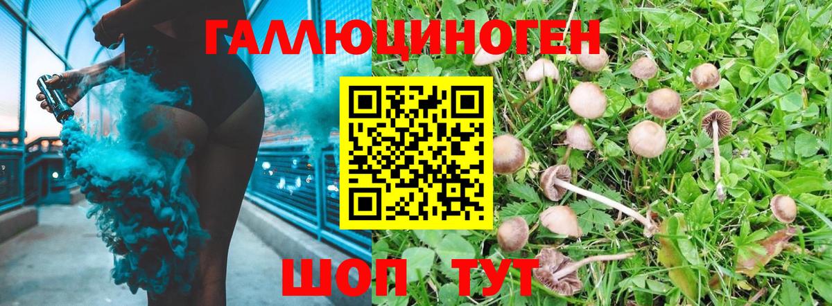 Псилоцибиновые грибы мухоморы  Вход с VPN  Касимов 